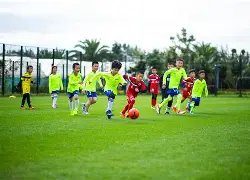 郑思维退出,赛场,雅思组合国,世界杯小组赛,2026世界杯,小组赛分析,球队对阵,晋级预测