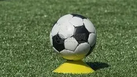 【重磅速递】郑智上任立竿见影！西海岸豪掷双雄，亚冠征程一触即发！