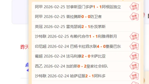 柏林联VS不来梅：德甲第34轮焦点战