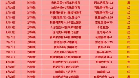 激情对决！纽卡斯尔联与阿斯顿维拉巅峰之战，独家比分揭晓！