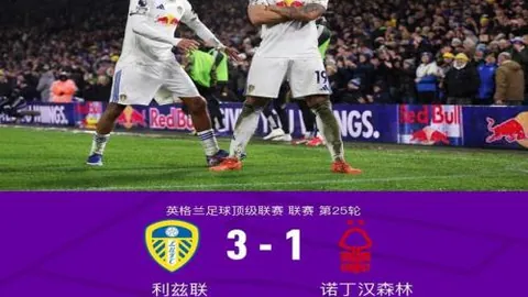 徐梦桃亚冬会夺冠，成就“大满贯”辉煌